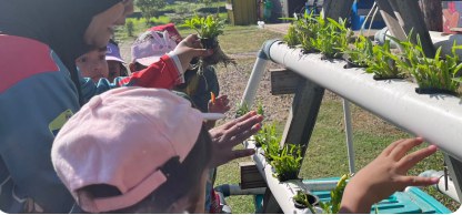 Pengenalan sistem tanaman hidroponik