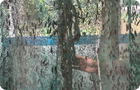 Proses pengolahan sampah organik